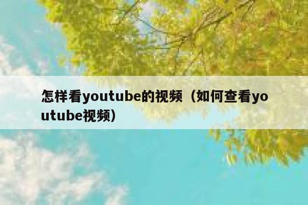 怎样看youtube的视频（如何查看youtube视频） 第1张