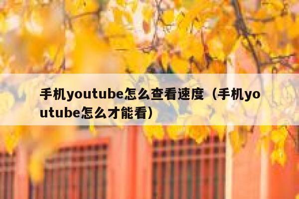 手机youtube怎么查看速度（手机youtube怎么才能看） 第1张