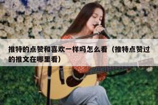 推特的点赞和喜欢一样吗怎么看（推特点赞过的推文在哪里看） 第1张