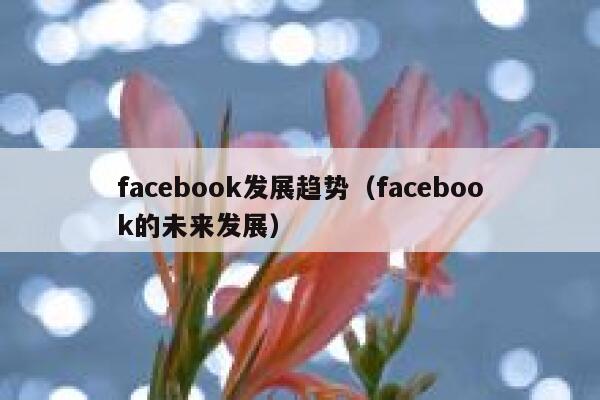 facebook发展趋势（facebook的未来发展） 第1张