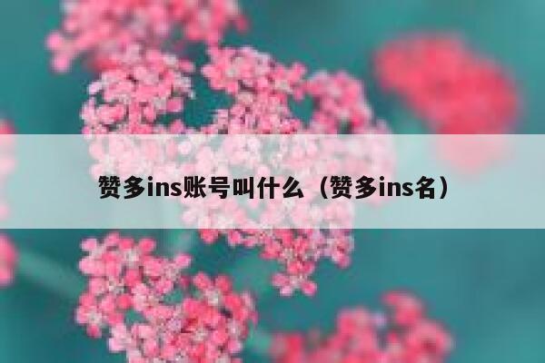 赞多ins账号叫什么（赞多ins名） 第1张