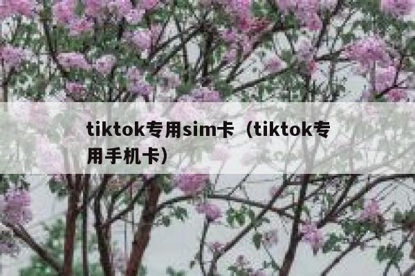 tiktok专用sim卡（tiktok专用手机卡） 第1张