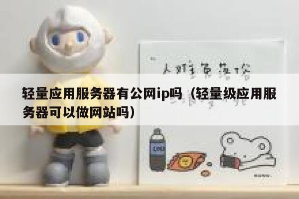 轻量应用服务器有公网ip吗（轻量级应用服务器可以做网站吗） 第1张