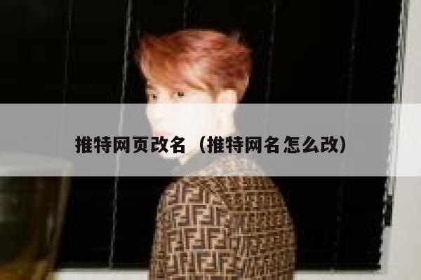 推特网页改名（推特网名怎么改） 第1张