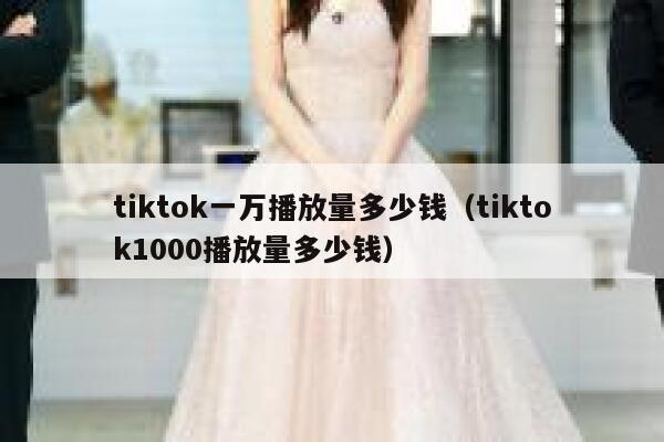 tiktok一万播放量多少钱（tiktok1000播放量多少钱） 第1张