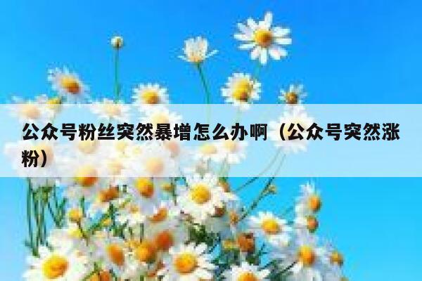 公众号粉丝突然暴增怎么办啊（公众号突然涨粉） 第1张