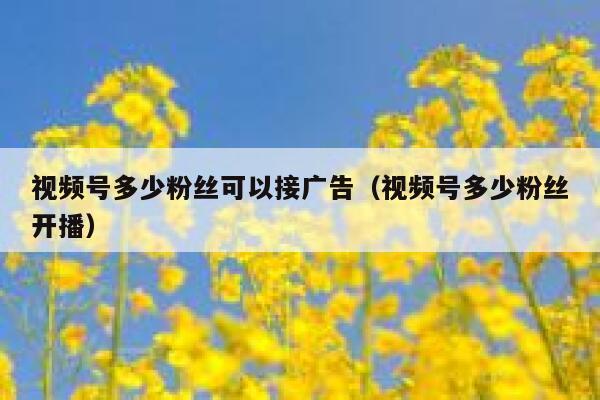 视频号多少粉丝可以接广告（视频号多少粉丝开播） 第1张