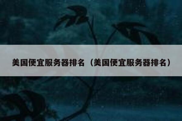 美国便宜服务器排名（美国便宜服务器排名） 第1张