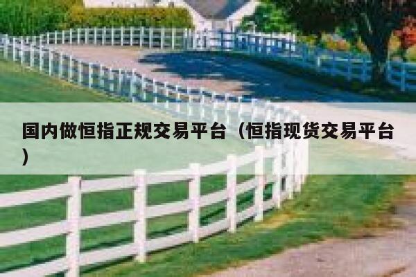 国内做恒指正规交易平台（恒指现货交易平台） 第1张