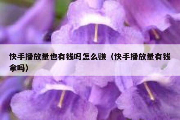 快手播放量也有钱吗怎么赚（快手播放量有钱拿吗） 第1张