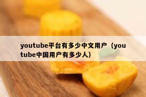 youtube平台有多少中文用户（youtube中国用户有多少人） 第1张