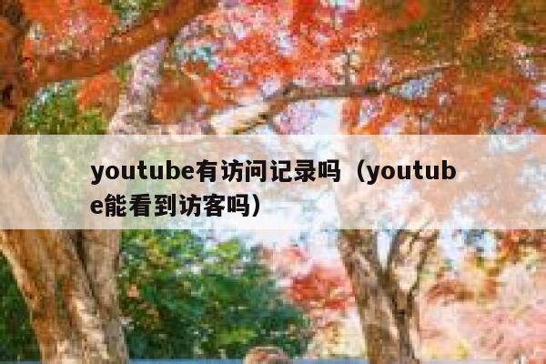 youtube有访问记录吗（youtube能看到访客吗） 第1张