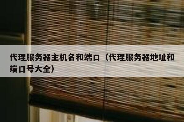 代理服务器主机名和端口（代理服务器地址和端口号大全） 第1张