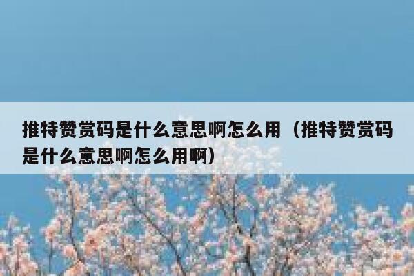推特赞赏码是什么意思啊怎么用（推特赞赏码是什么意思啊怎么用啊） 第1张