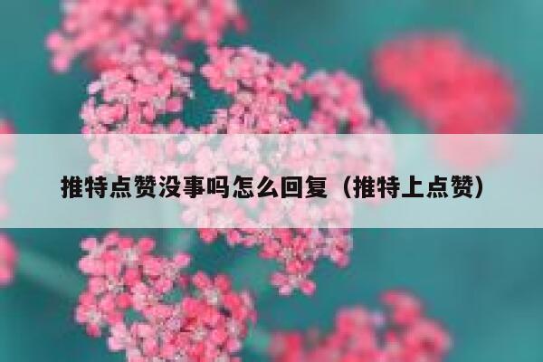 推特点赞没事吗怎么回复（推特上点赞） 第1张