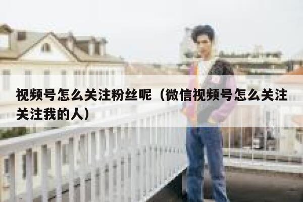 视频号怎么关注粉丝呢（微信视频号怎么关注关注我的人） 第1张