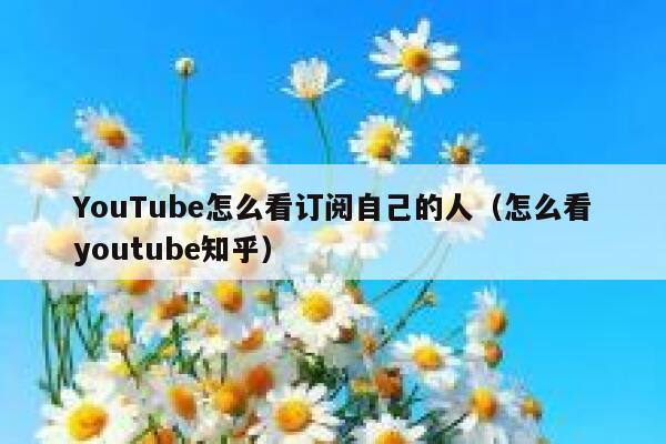 YouTube怎么看订阅自己的人（怎么看youtube知乎） 第1张