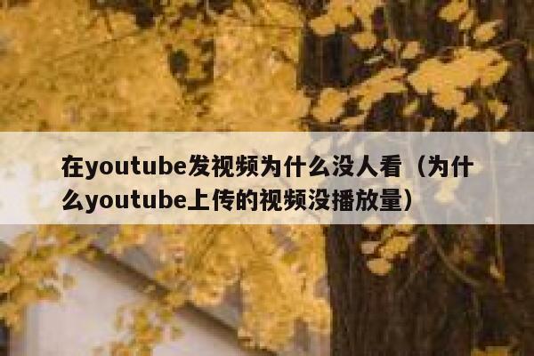 在youtube发视频为什么没人看（为什么youtube上传的视频没播放量） 第1张