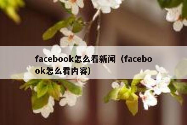 facebook怎么看新闻（facebook怎么看内容） 第1张