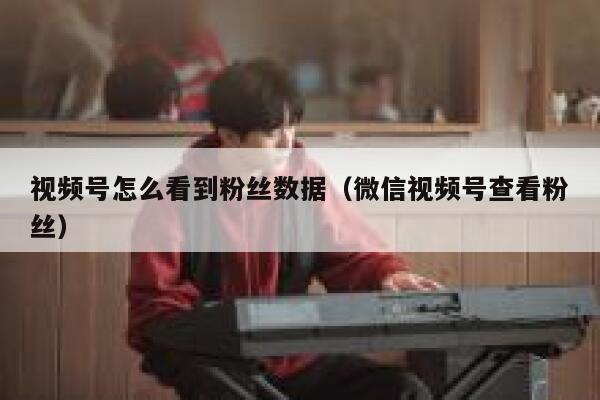 视频号怎么看到粉丝数据（微信视频号查看粉丝） 第1张