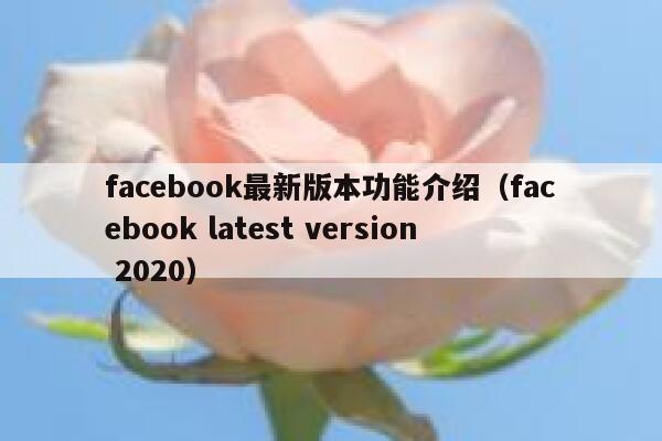 facebook最新版本功能介绍（facebook latest version 2020） 第1张