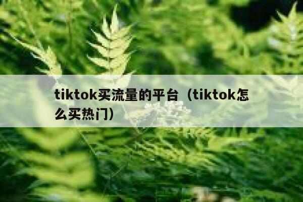 tiktok买流量的平台（tiktok怎么买热门） 第1张