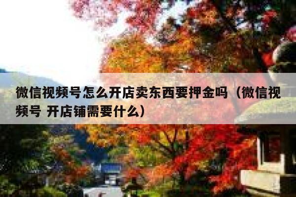 微信视频号怎么开店卖东西要押金吗（微信视频号 开店铺需要什么） 第1张