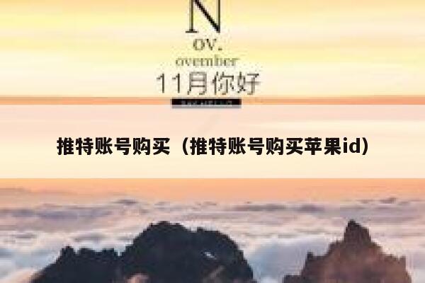推特账号购买（推特账号购买苹果id） 第1张