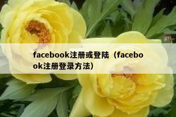 facebook注册或登陆（facebook注册登录方法） 第1张