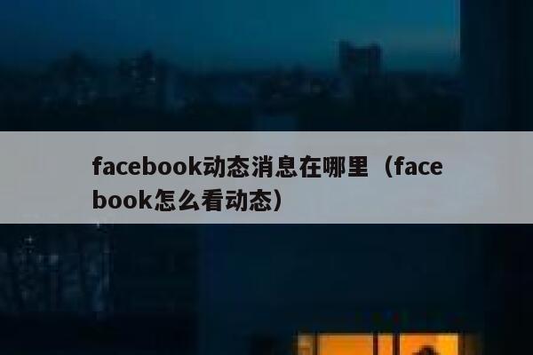 facebook动态消息在哪里（facebook怎么看动态） 第1张