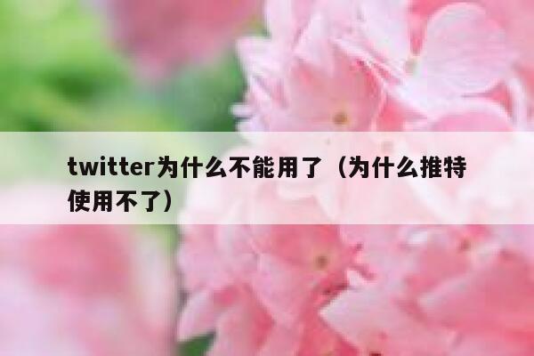twitter为什么不能用了（为什么推特使用不了） 第1张