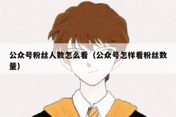公众号粉丝人数怎么看（公众号怎样看粉丝数量） 第1张