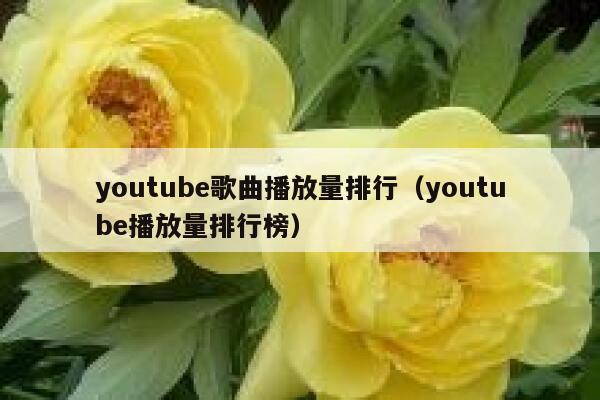youtube歌曲播放量排行（youtube播放量排行榜） 第1张