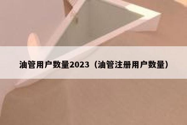 油管用户数量2023（油管注册用户数量） 第1张