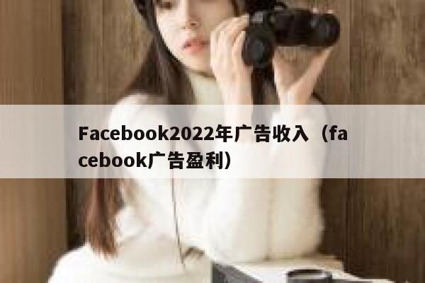 Facebook2022年广告收入（facebook广告盈利） 第1张