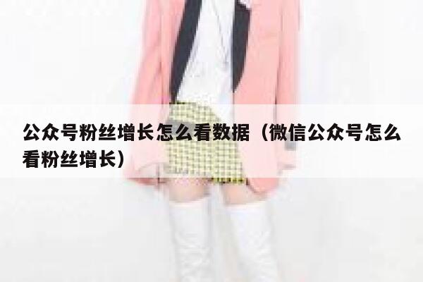 公众号粉丝增长怎么看数据（微信公众号怎么看粉丝增长） 第1张