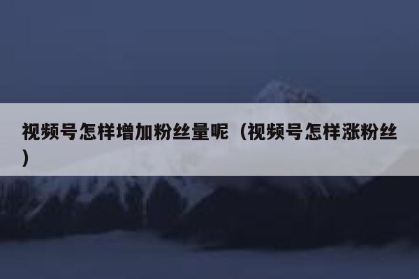视频号怎样增加粉丝量呢（视频号怎样涨粉丝） 第1张