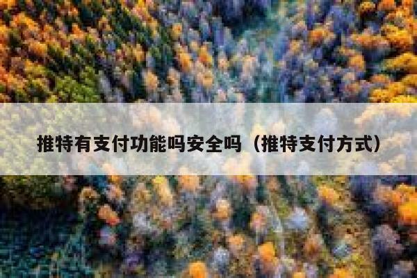 推特有支付功能吗安全吗（推特支付方式） 第1张