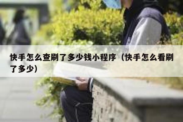 快手怎么查刷了多少钱小程序（快手怎么看刷了多少） 第1张
