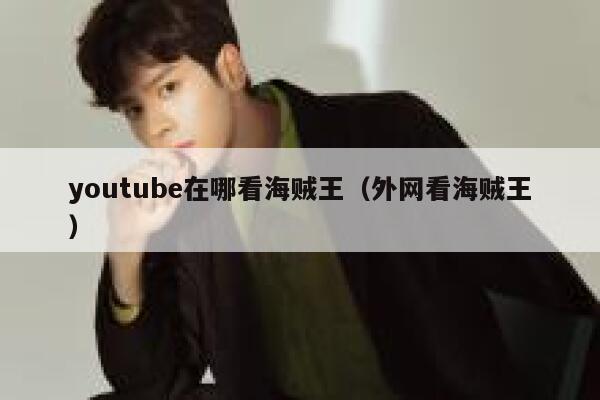 youtube在哪看海贼王（外网看海贼王） 第1张