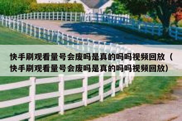 快手刷观看量号会废吗是真的吗吗视频回放（快手刷观看量号会废吗是真的吗吗视频回放） 第1张