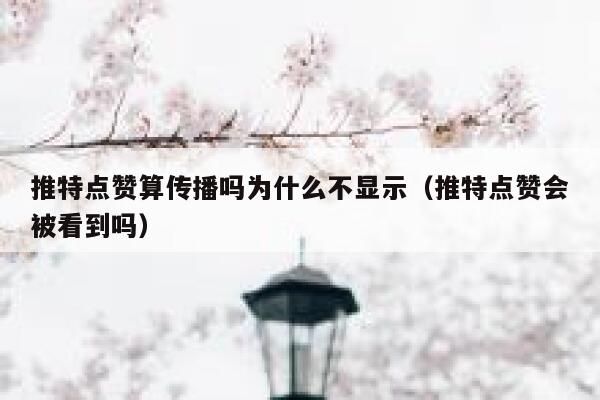 推特点赞算传播吗为什么不显示（推特点赞会被看到吗） 第1张