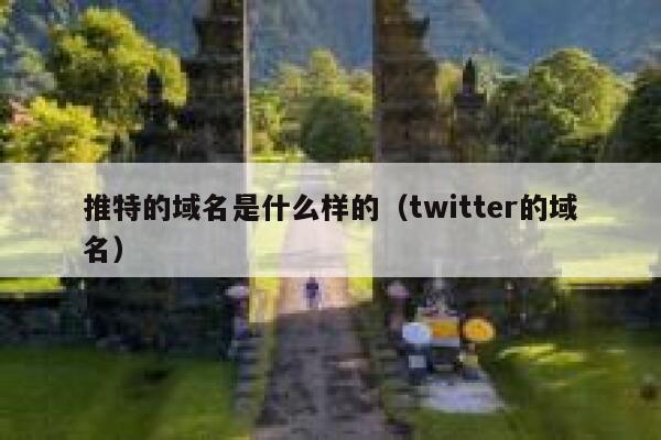 推特的域名是什么样的（twitter的域名） 第1张