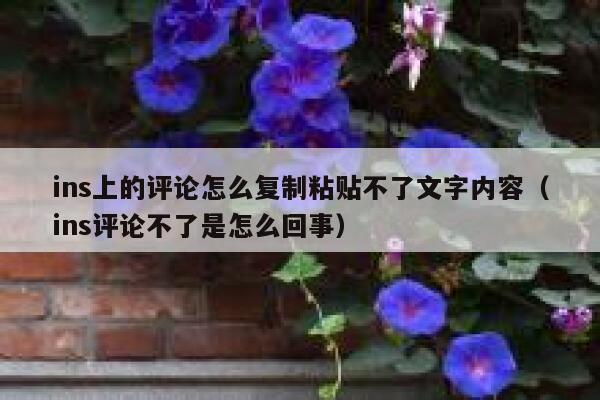 ins上的评论怎么复制粘贴不了文字内容（ins评论不了是怎么回事） 第1张