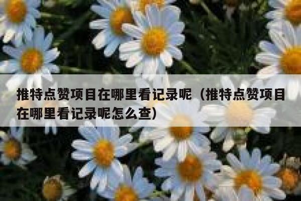 推特点赞项目在哪里看记录呢（推特点赞项目在哪里看记录呢怎么查） 第1张