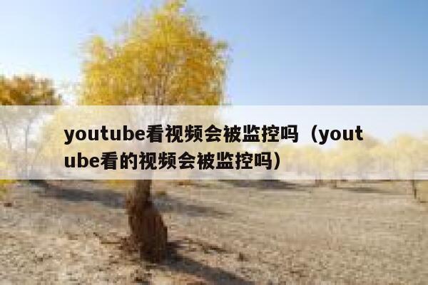 youtube看视频会被监控吗（youtube看的视频会被监控吗） 第1张