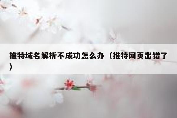 推特域名解析不成功怎么办（推特网页出错了） 第1张