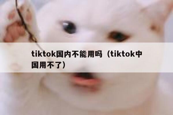 tiktok国内不能用吗（tiktok中国用不了） 第1张