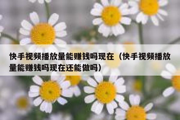 快手视频播放量能赚钱吗现在（快手视频播放量能赚钱吗现在还能做吗） 第1张