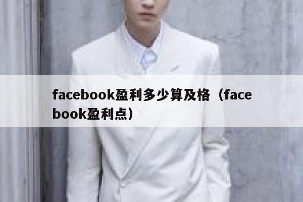 facebook盈利多少算及格（facebook盈利点） 第1张